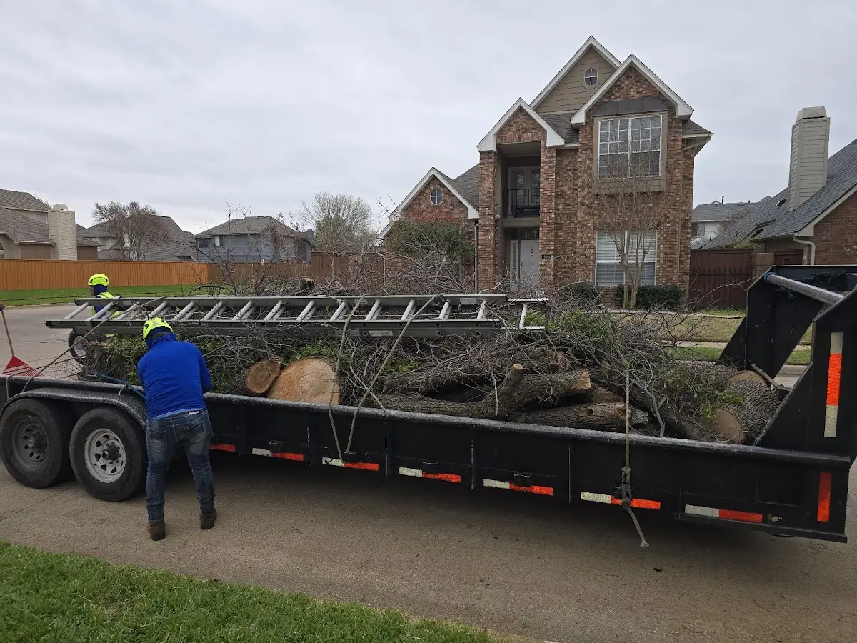 Expert Tree Pest Control with proper safety equipment in Stanton